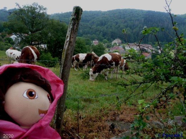 Gite Rural Les Maires D'Avaux Saint-Bresson Buitenkant foto